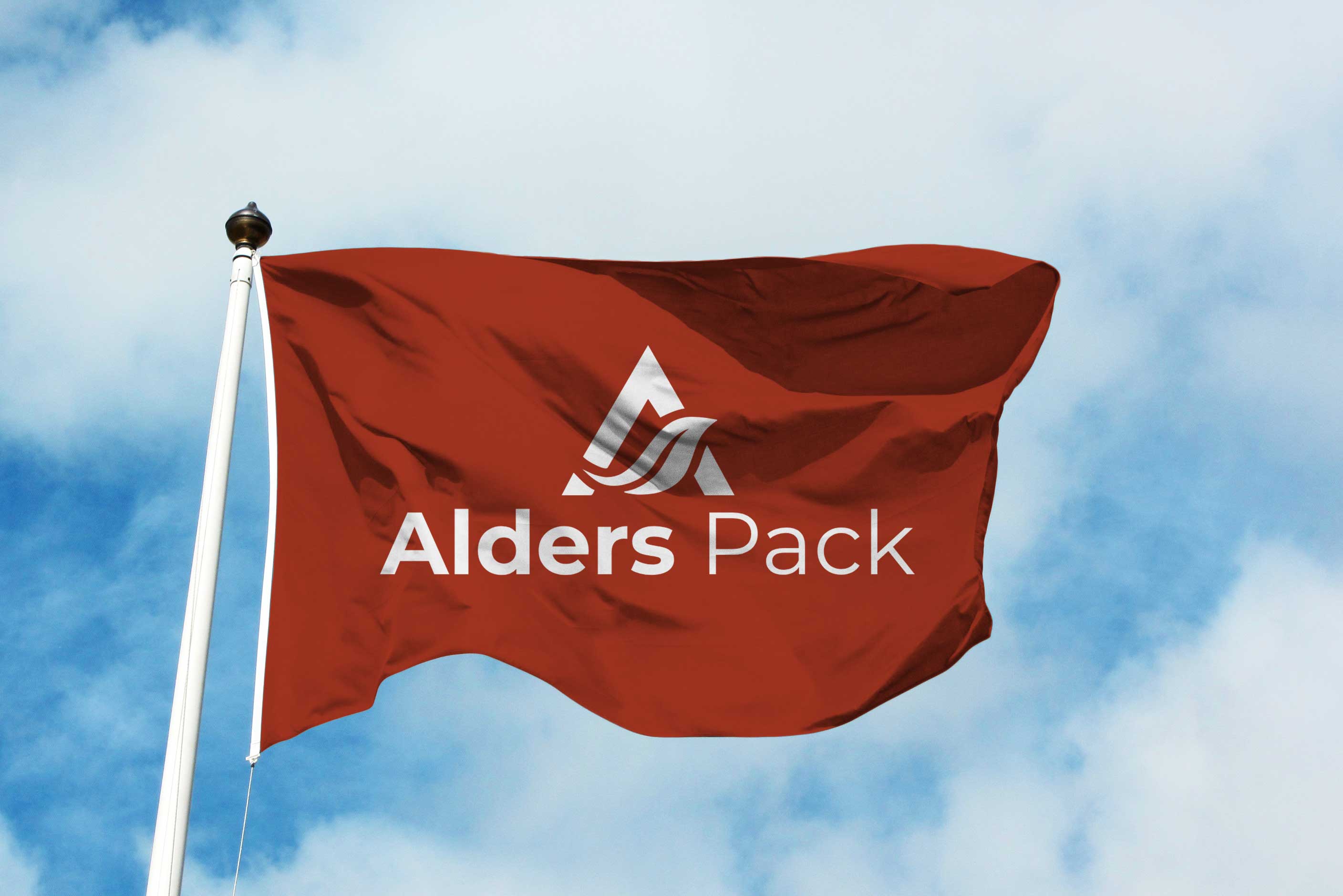 Alders Pack – Güvenli Taşımacılığın Ahşap Uzmanı